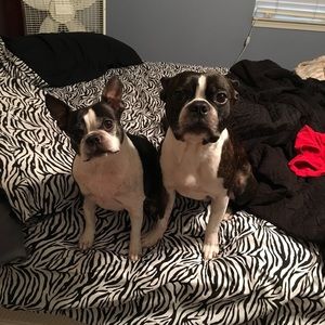 Meet your Posher, Christine